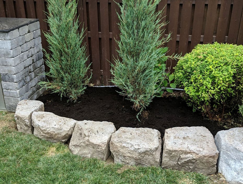 A garden with rocks and plants in it