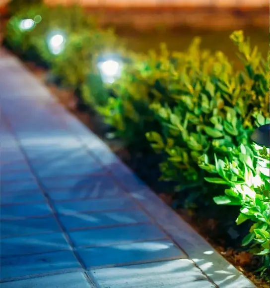 A garden with bushes and lights on the side of it.