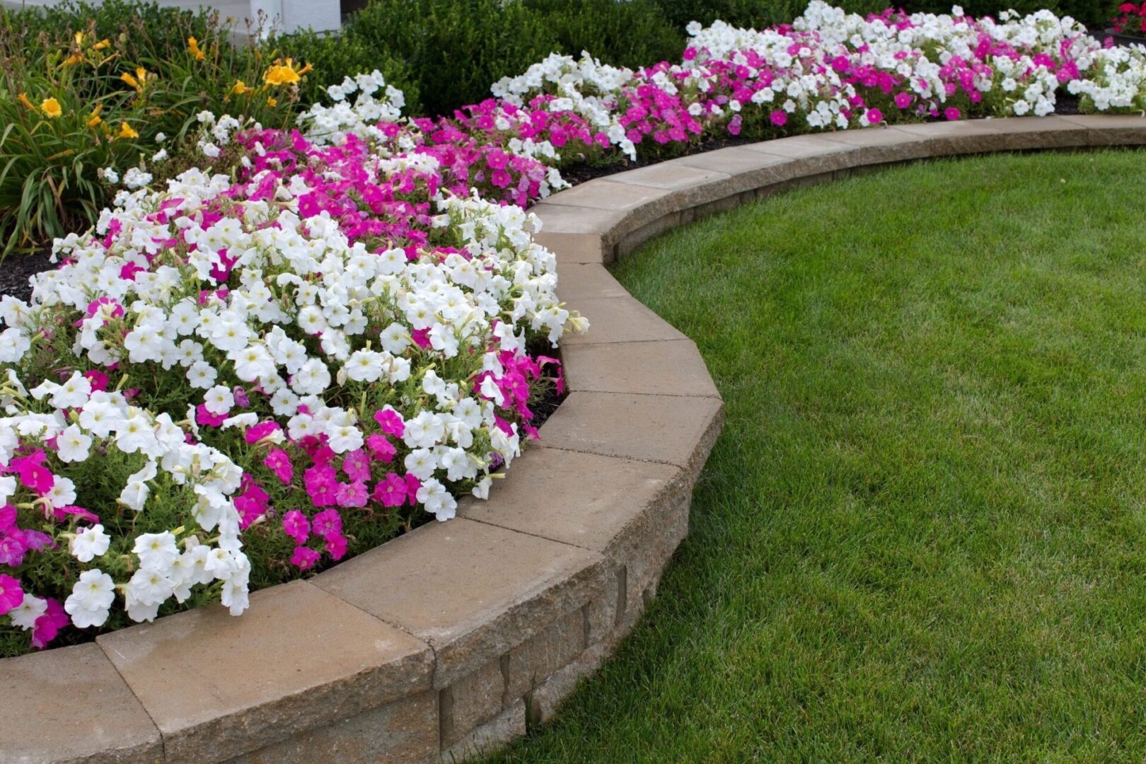 A garden with flowers and grass in the middle of it